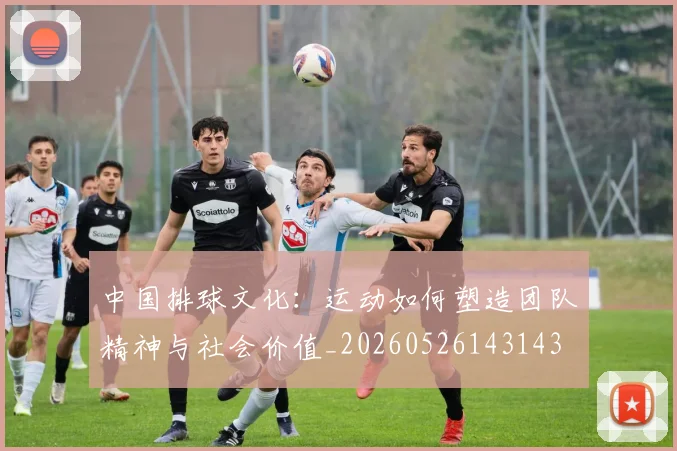 中国排球文化:运动如何塑造团队精神与社会价值_20260526143143